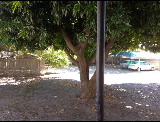 284M² BUSINESS FOR SALE IN BO-DORP